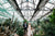 botanical garden wedding